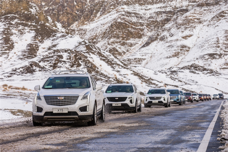 凯迪拉克品牌荣获“关注森林运动先进单位”奖项