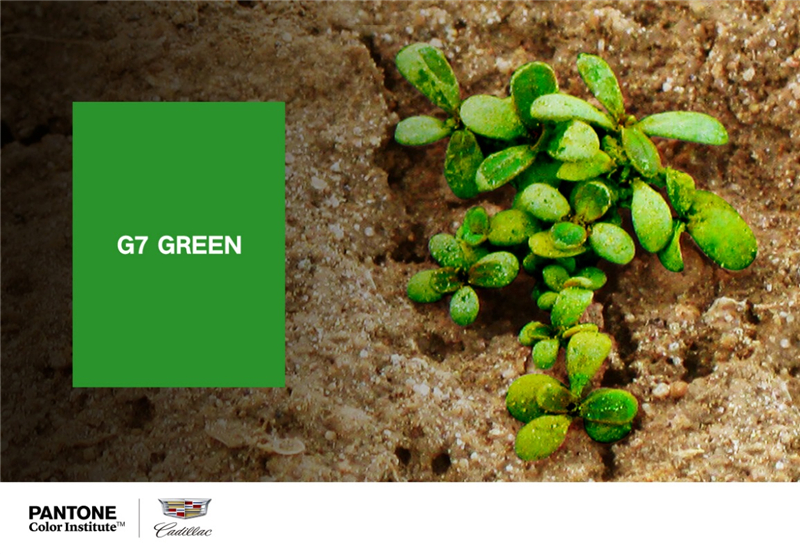 凯迪拉克守护G7公路生态工程荣膺2019年度益轩奖