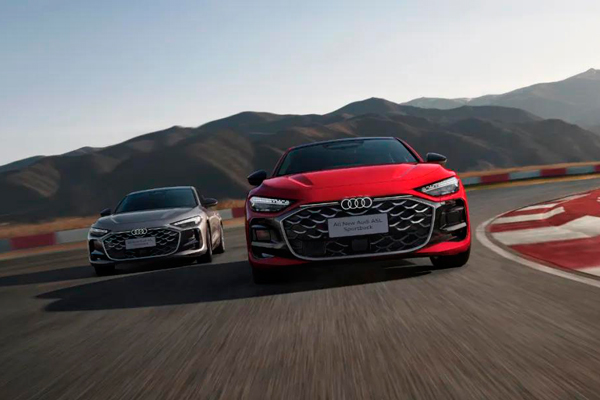 盘货jbo竞博集团：青山不语 风骨自成